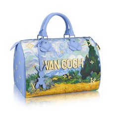 L Vuitton Speedy 30 M43314
