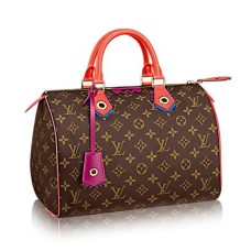 L Vuitton M41665 Speedy 30 Totem Tote Bag Monogram Canvas